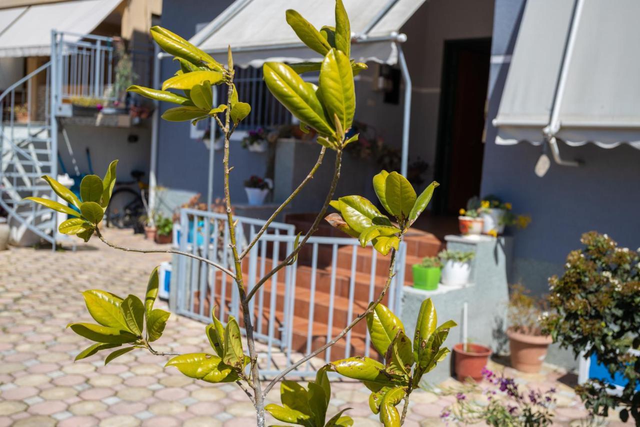 Vila Aulona Vlorë Exterior foto
